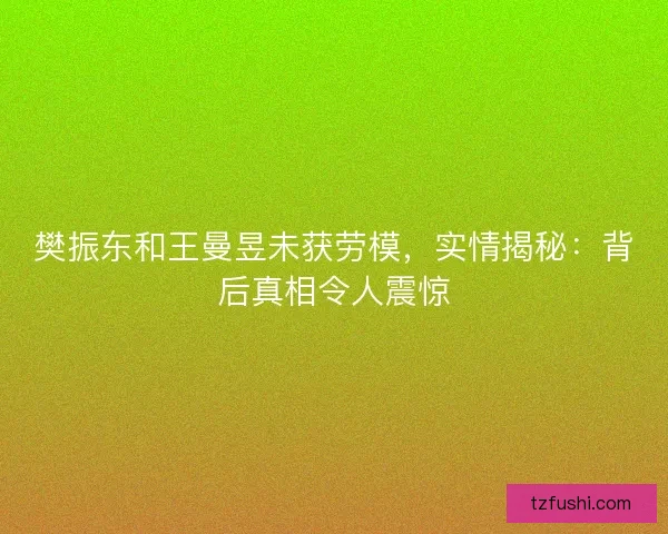 樊振东和王曼昱未获劳模，实情揭秘：背后真相令人震惊