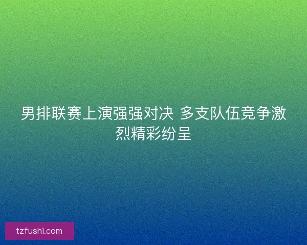 男排联赛上演强强对决 多支队伍竞争激烈精彩纷呈