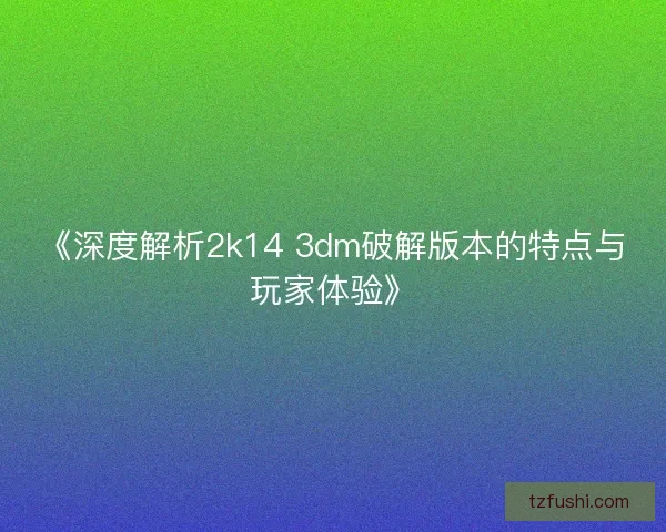 《深度解析2k14 3dm破解版本的特点与玩家体验》