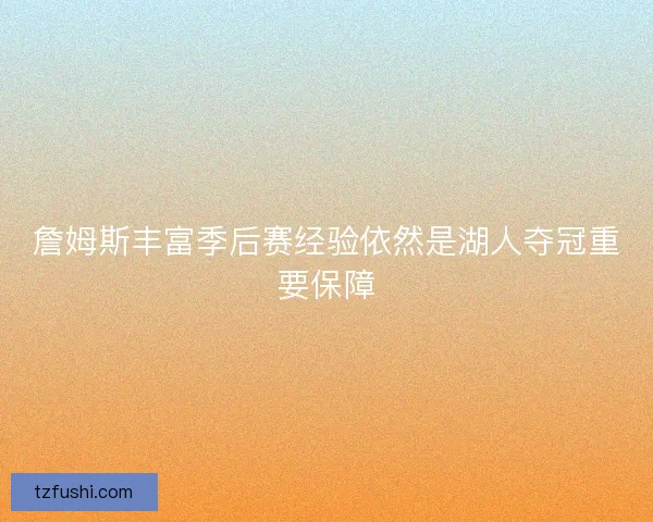 詹姆斯丰富季后赛经验依然是湖人夺冠重要保障